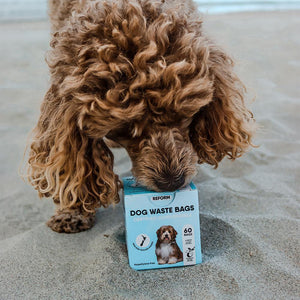 Certified Compostable Dog Waste Bags - 60 Bags - planetreform.co.nz